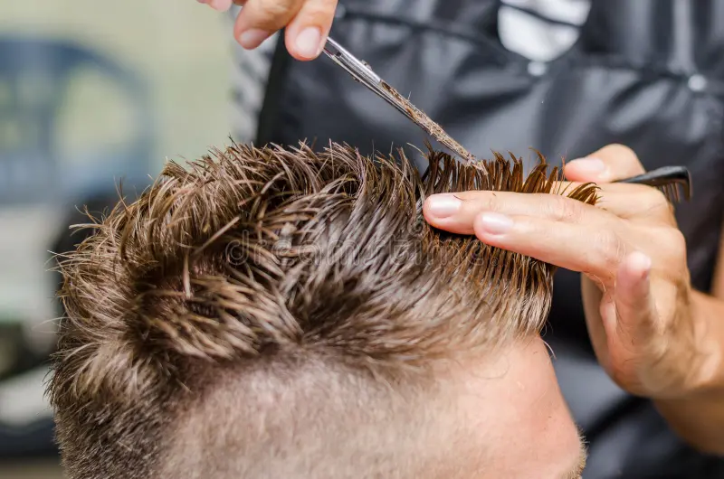 Beard Grooming Detail